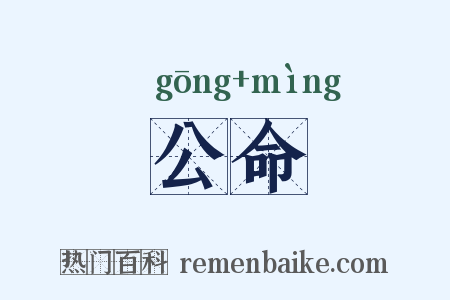 公命是什么意思的图片